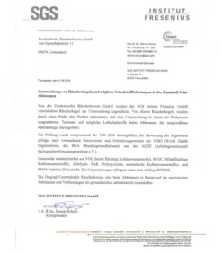 Cone D'Encens Senteur De Noël