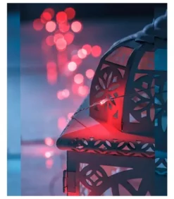 Guirlande Lumineuse Avec Changement De Couleur, 50 Diodes Led