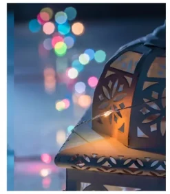 Guirlande Lumineuse Avec Changement De Couleur, 50 Diodes Led