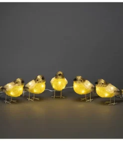 Oiseaux Lumineux Led En Acrylique, 5 Chardonnerets